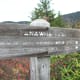 tanawha-trail-blue-ridge-parkway-blowing-rock
