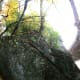 tanawha-trail-blue-ridge-parkway-blowing-rock