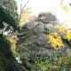tanawha-trail-blue-ridge-parkway-blowing-rock
