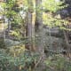 tanawha-trail-blue-ridge-parkway-blowing-rock