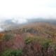 tanawha-trail-blue-ridge-parkway-blowing-rock