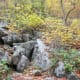tanawha-trail-blue-ridge-parkway-blowing-rock