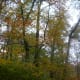 tanawha-trail-blue-ridge-parkway-blowing-rock