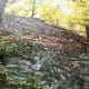 tanawha-trail-blue-ridge-parkway-blowing-rock