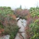 tanawha-trail-blue-ridge-parkway-blowing-rock