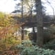 tanawha-trail-blue-ridge-parkway-blowing-rock