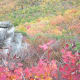 tanawha-trail-blue-ridge-parkway-blowing-rock