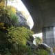 tanawha-trail-blue-ridge-parkway-blowing-rock