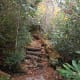tanawha-trail-blue-ridge-parkway-blowing-rock