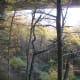 tanawha-trail-blue-ridge-parkway-blowing-rock