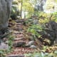 tanawha-trail-blue-ridge-parkway-blowing-rock