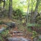 tanawha-trail-blue-ridge-parkway-blowing-rock