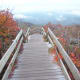 tanawha-trail-blue-ridge-parkway-blowing-rock