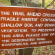 tanawha-trail-blue-ridge-parkway-blowing-rock