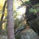 tanawha-trail-blue-ridge-parkway-blowing-rock