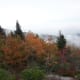 tanawha-trail-blue-ridge-parkway-blowing-rock