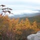 tanawha-trail-blue-ridge-parkway-blowing-rock