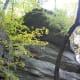 tanawha-trail-blue-ridge-parkway-blowing-rock