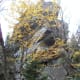 tanawha-trail-blue-ridge-parkway-blowing-rock