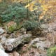 tanawha-trail-blue-ridge-parkway-blowing-rock