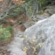 tanawha-trail-blue-ridge-parkway-blowing-rock