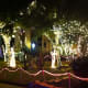 White Lights