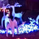 Reindeer