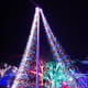 Walk under the tree!