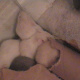 23 days old