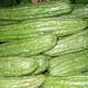 Bitter Melon (Public Domain)