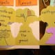 volcano trifold