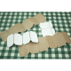 blank accordion books
