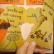 volcano trifold