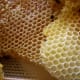 The honey comb