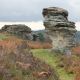 North Yorkshire