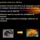 hypothetico-deductive-method-in-business-research