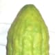 Yankelowitz photographed this citron on October 28, 2008.