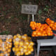 Tamago Moffle photographed this shop in Nara prefecture, Japan on January 10, 2010. Satsumas are on the right, and oranges are on the left.