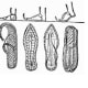 history-of-sandals