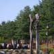 totem-poles-in-the-pacific-northwest-alaska-new-zealand-and-japan