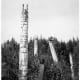 A Tlingit pole in Ketchikan, Alaska. Photo taken in 1912.