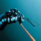 Cloak and Dagger Cuckoo Bee