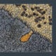 Mother nature has provided her version of the abstract painting through the use of various colors of lichen.