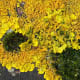 Notice the colors and textures in this image.