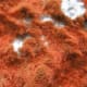 An interesting color and texture!