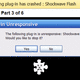 Google Chrome Crash