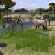 Wildlife Park 2 Gameplay