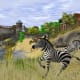 Wildlife Park 2 Gameplay