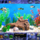 Fish Tycoon Gameplay