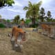 Wildlife Park 2 Gameplay